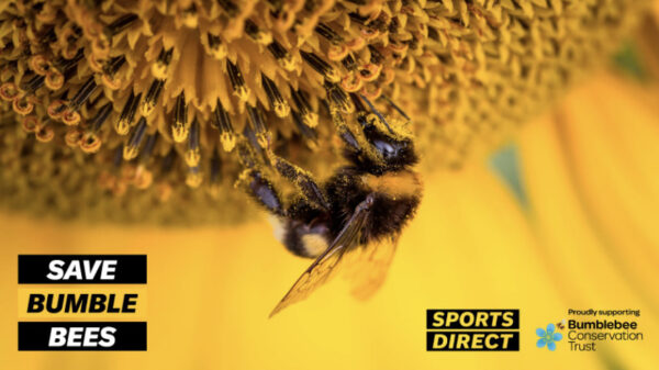 Sports Direct The Bumblebee Conservation Trust