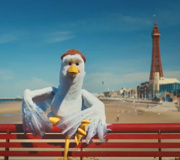 seagull blackpool