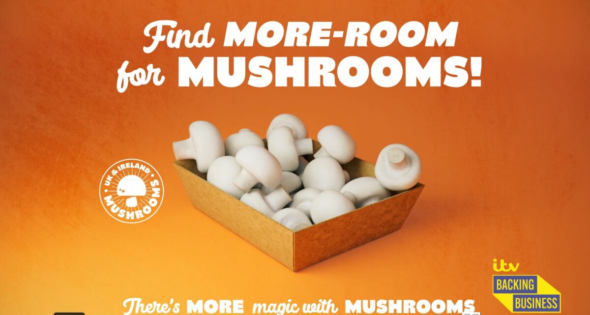 mushroom ITV