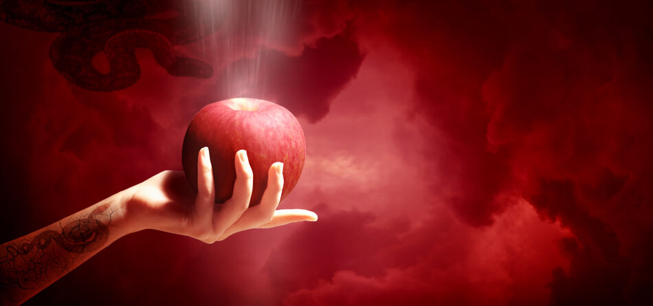 APPLE SIN STOCK IMAGE