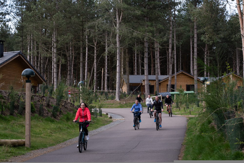 MARKETING CENTER PARCS