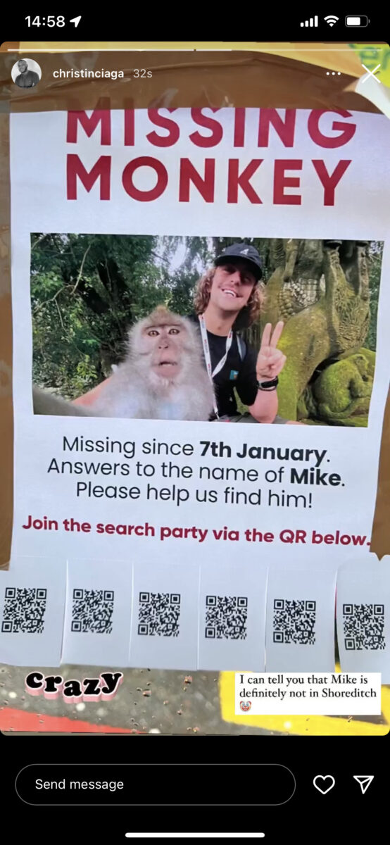 missing animals weroad