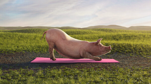 Veganuary 2023 pig ad