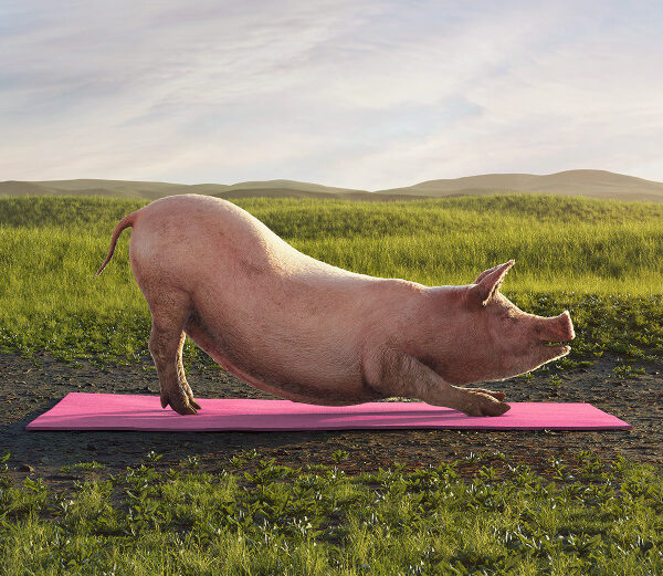 vegan
