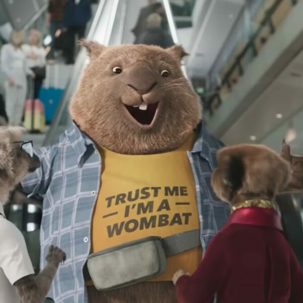 Comparethemarket has introduced a wombat to its cast of meerkats in its latest marketing campaign.