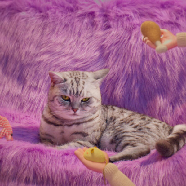 Whiskas