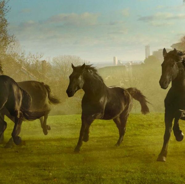 lloyds