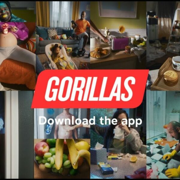 gorillas