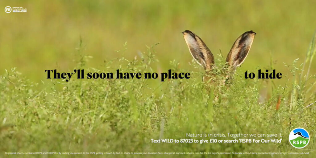 The RSPB has unveiled a multi-channel integrated fundraising campaign in a bid to ask the nation to take action for UK nature.