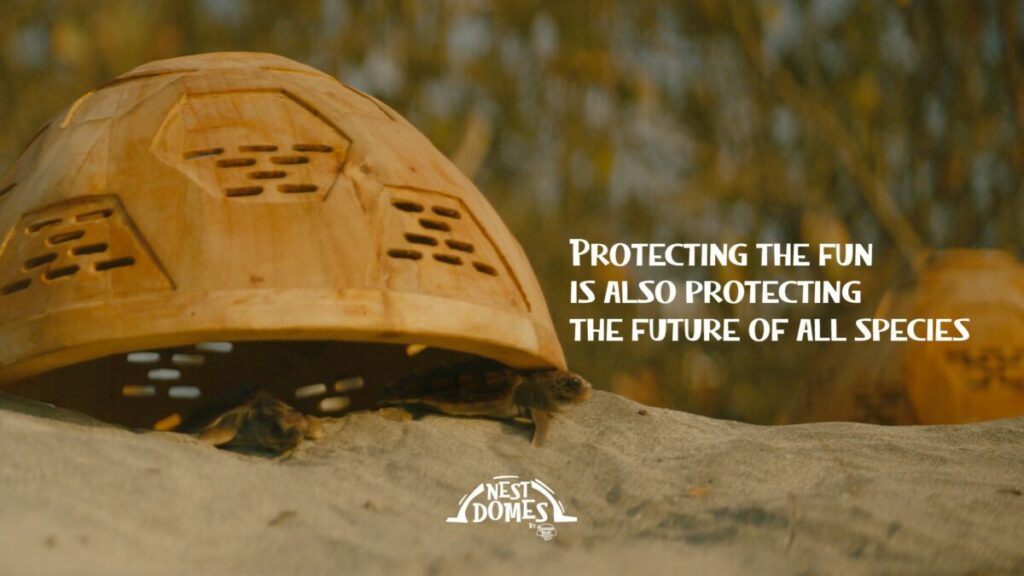 Banana Boat turtle eco project