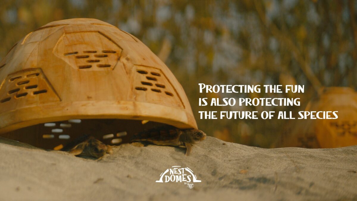 Banana Boat turtle eco project