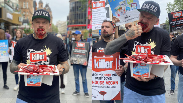 Dirty Sanchez star Matt Pritchard eating bloody Müller Killeryoghurt alongside campaigners