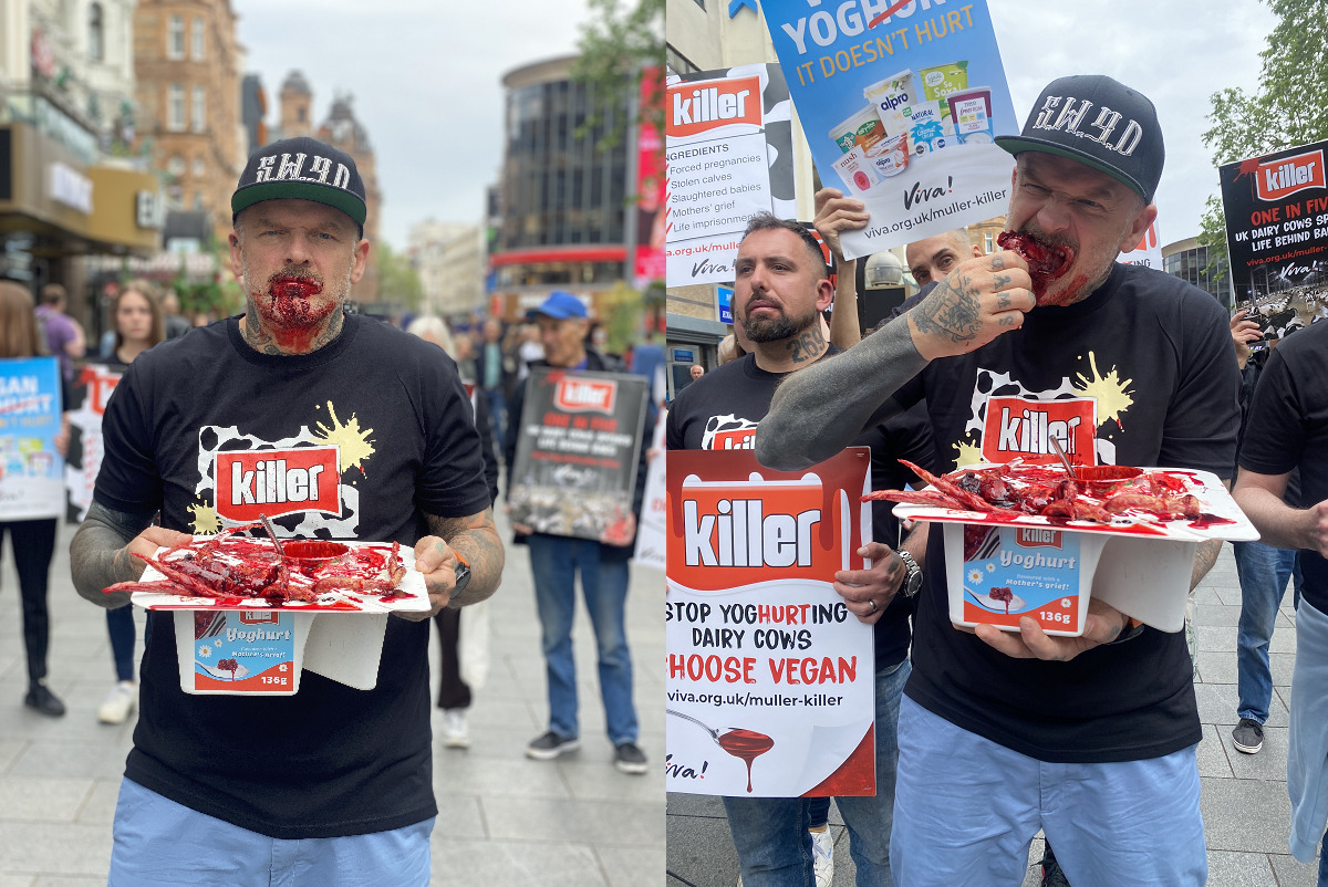Dirty Sanchez star Matt Pritchard eating bloody Müller Killeryoghurt alongside campaigners