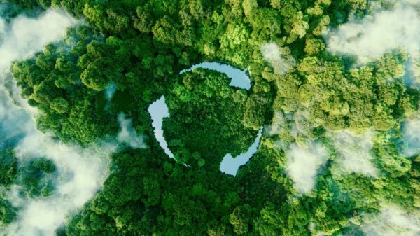 Nuevo has announced the launch of Nuevo 360, a comprehensive learning programme for brand marketing teams and advertising agencies. Abstract icon representing the ecological call to recycle and reuse in the form of a pond with a recycling symbol in the middle of a beautiful untouched jungle. 3d rendering.
