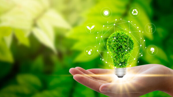 Hand holding light bulb against nature on green leaf with icons energy sources for renewable, sustainable development. Adform