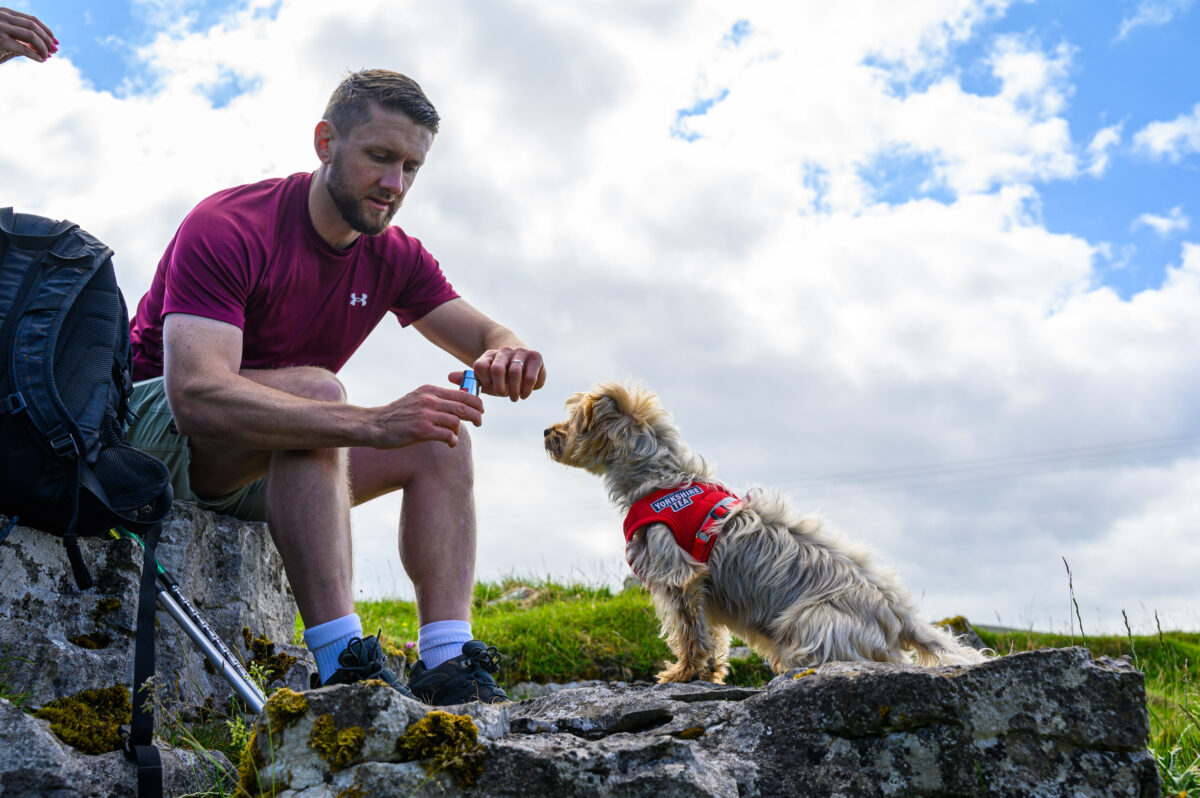 Lucky General is celebrating today's national Yorkshire Day with a heart-warming new campaign film depicting Yorkshire Tea's newest hero, a Yorkie dog named Archie, depicted here