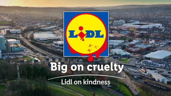 Lidl frankenchicken ad from the humane league