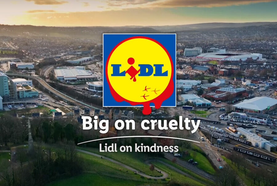 Lidl frankenchicken ad from the humane league