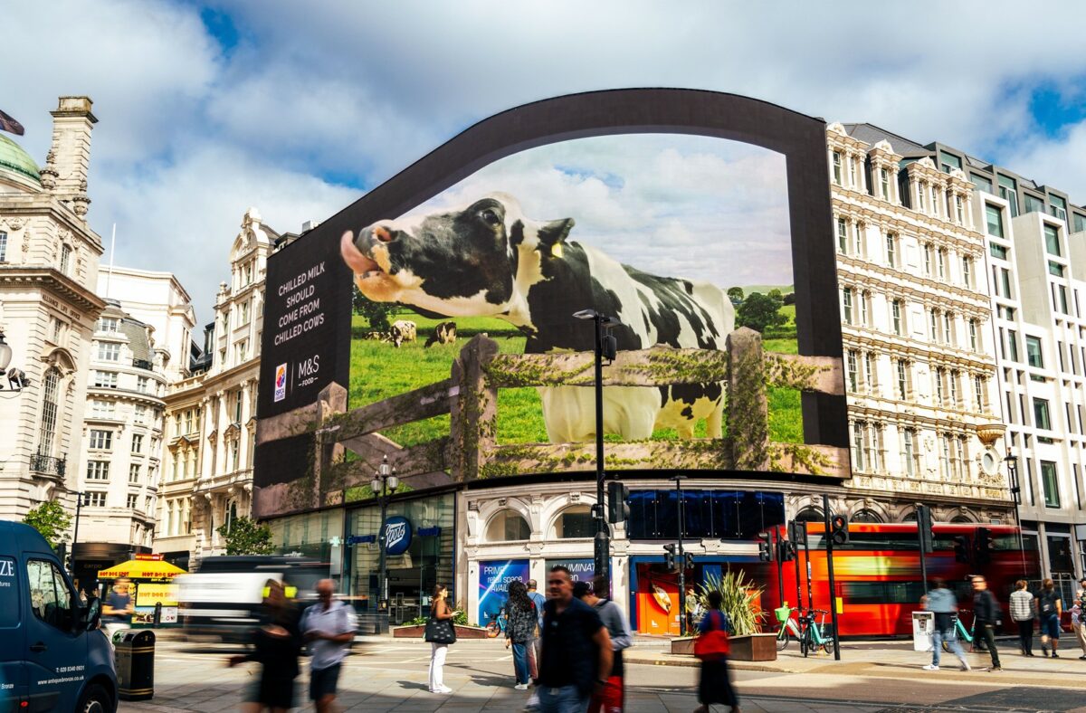 M&S has launched the world's first ever live-action 'in camera' 3D digital out-of-home billboard with its 'Chilled Cows, Chilled Milk' campaign, here depicting Daisy the cow.