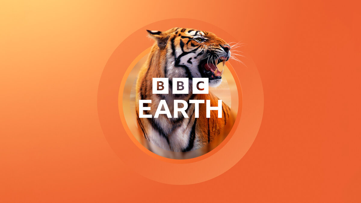 BBC Earth is undergoing a new creative refresh, celebrating some of the content that has been created and broadcasted through the brand, depicted here in orange.