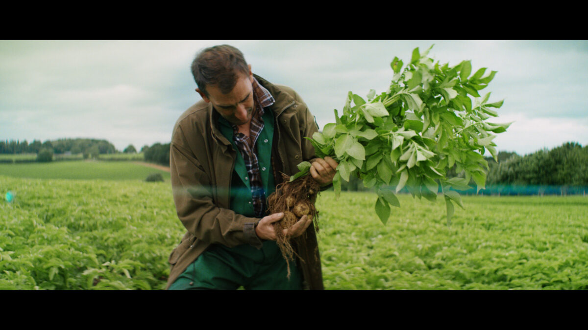 British crisp giant, Walkers has teamed up with its creative agency of record VCCP to unveil a new brand campaign - a series of creatives demonstrating the dedication and care involved in growing the potatoes used to make its iconic crisps, here depicting stills from the campaign