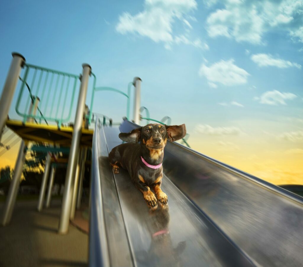 Vitality is celebrating how it brings its brand to life and its continual strive for innovation with a campaign depicting a change of heart from its brand mascot, depicted here on a slide.