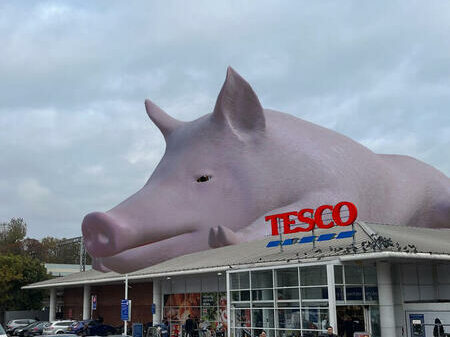 A giant pig has appeared on top of Tesco stores, Barclays HQ and DEFRA to expose the companies and the government's links to the meat industry.