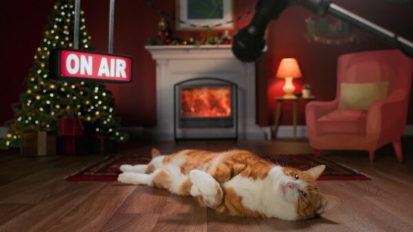 Channel 4 is debuting its latest creative sales innovation with a bespoke cat-focused ad break for its seasonal broadcast of Mog's Christmas.