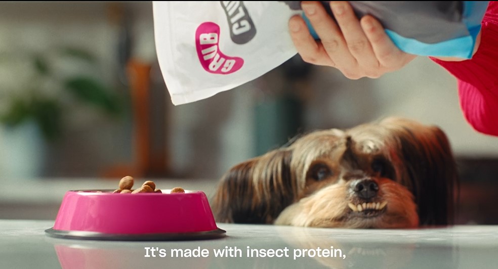 Image from Grub Club advert of dog being fed pet food made with insect protein. The advert won Sky Media's Zero Footprint award.