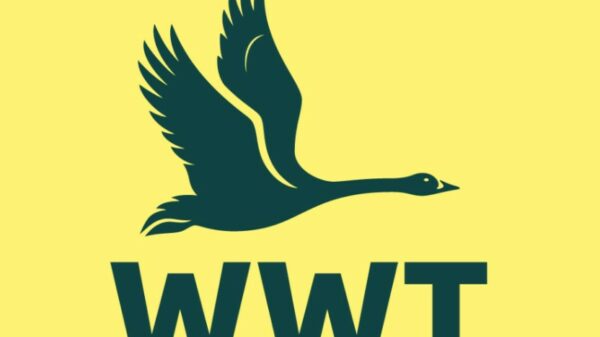 WWT logo. The Wildfowl and Wetlands Trust (WWT) has launched a fresh brand identity on World Wetlands Day (February 2) as it aims to mobilise the nation to take action to protect the habitats.
