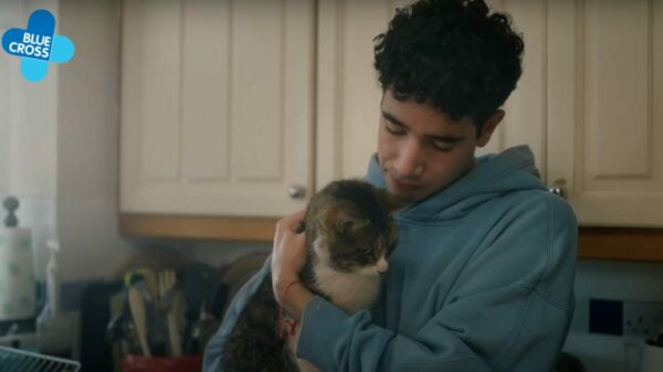 Image from TV campaign showing young man holding his pet cat. The national pet charity Blue Cross has today launched its first national TV ad in nearly a decade to raise awareness of how it can help and support more pets and people than ever before.