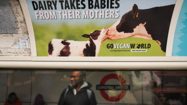 Controversial new Go Vegan ad featuring the slogan "Dairy takes babies from mothers" has been placed in strategic locations around the country.