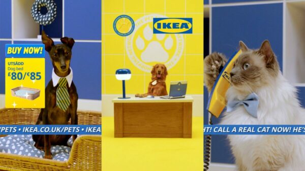 Ikea is launching its new pet range in a TikTok live livestream broadcast which will see cats and dogs demonstrate the new products.