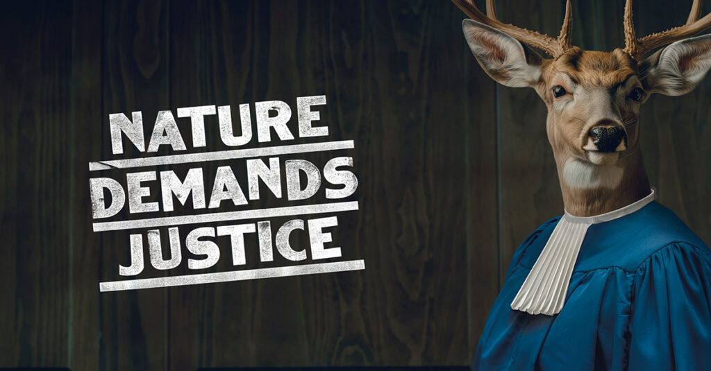 A deer facing viewer dons ICC robes, next to it is a slogan reading "Nature demands Justice".St Luke's has launched an anthropomorphic social campaign to raise awareness of ecocide, and demand that the act gets added to the ICC's (International Criminal Court) list of crimes.
