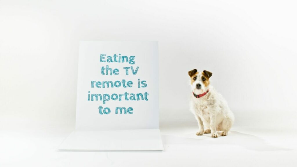 Naturo is showing that although dogs don't seem to care too much about what ends up in their stomachs - their owners certainly should.