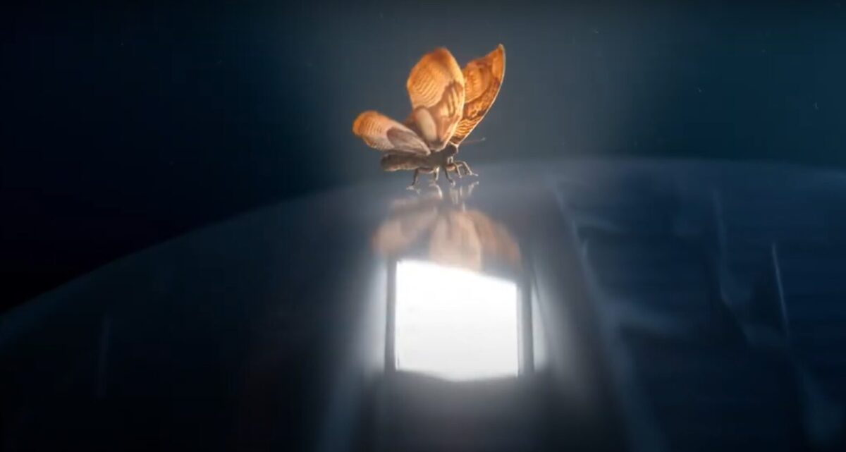 A moth lands gently on the car bonnet attracted by the light in a new Audi series. Car manufacturer Audi showcases the features of its new SQ6 e-tron vehicle by telling the love story between a moth and the car's dynamic new headlight signatures.