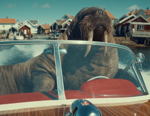 A walrus cruises along on a speedboat on a clear day, much to the admiration of fellow walruses and all those around. A slew of powerful and iconic brands have revitalised their mascots of late - from Virgin's speedboat riding walrus, to Aldi's Kevin the Carrot. But are mascots really essential and and what's the key to getting it right?