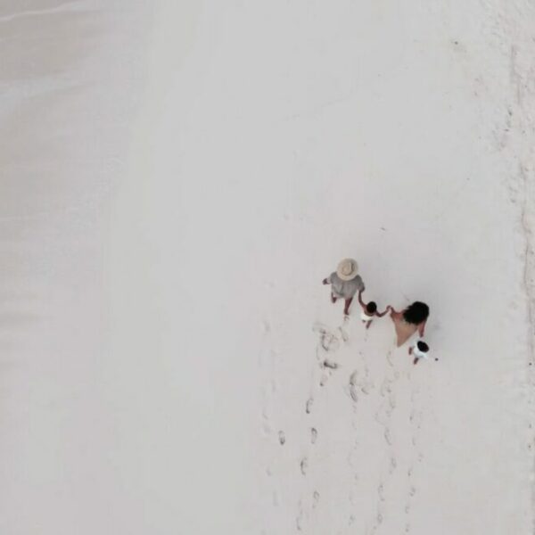 An arial shot of a family hand in hand walking across thhe golden sand.