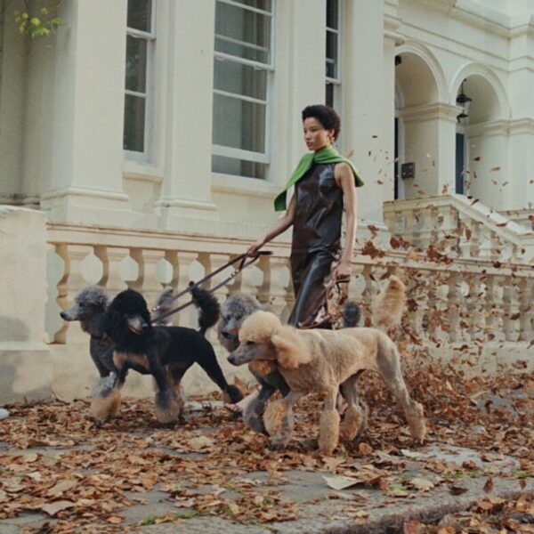 M&S is launching its 2024 autumn womenswear collection with a new omnichannel campaign that celebrates the return of chilly mornings and golden brown leaves.