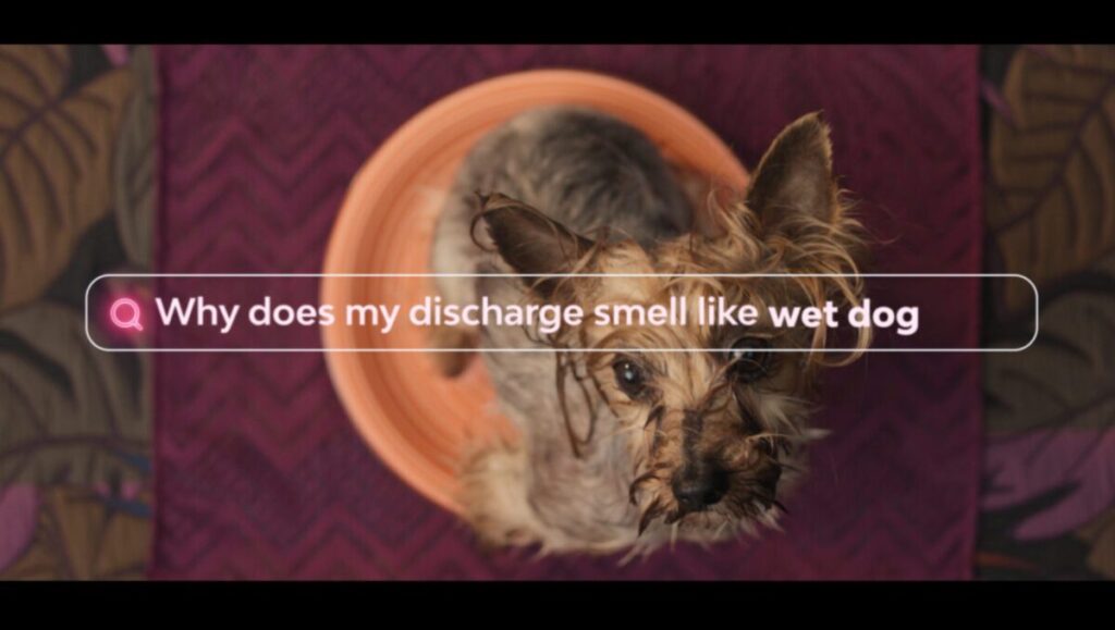 A snap from Bodyform's 'Never Just a period' ad showing a dog wet in a tub and an internet search bar reading "Why does my discharge smell like a wet dog". Despite the fact that there are separate awards for comedic and purpose-driven ads in - funny and heart-melting go surprisingly well together, Leith agency health partner Brian Coane highlights.