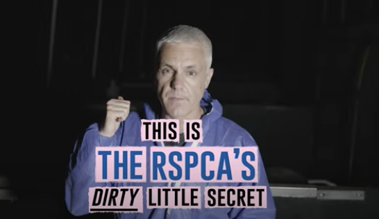 Matthew Glover in a video he says exposes the RSPCA's Assured scheme. The co-founder of vegan campaign Veganuary, Mattew Glover, has launched a campaign which criticises the RSPCA-assured label, accusing it of "welfare washing".