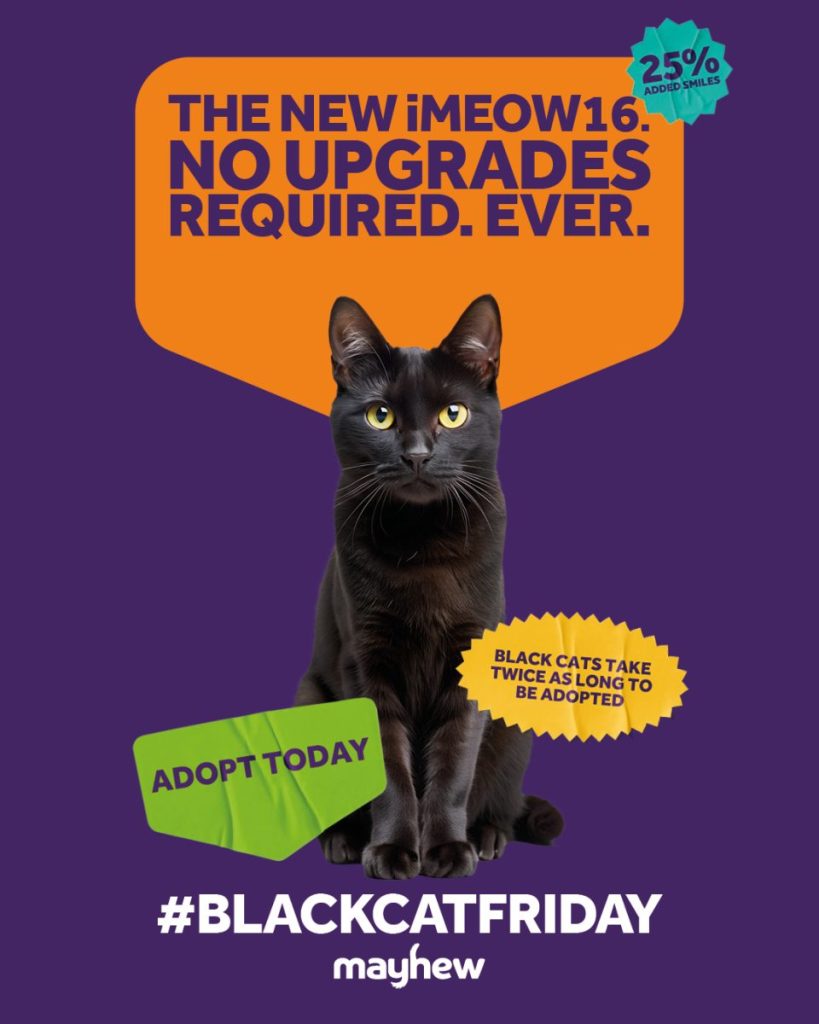 Mayhew has launched a new tactical out-of-home campaign called #BlackCatFriday with creative agency Havas London.