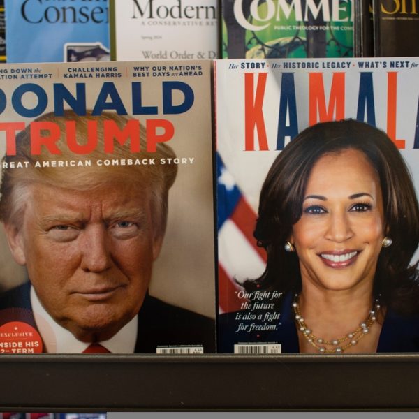 US election Kamala harris donald trump social media