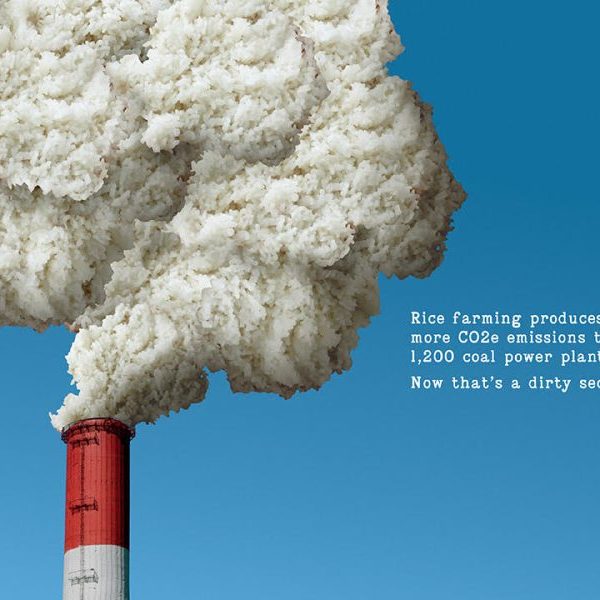 Nice Rice has partnered with creative agency Otherway to launch a striking outdoor campaign shedding light on the rice industry's 'dirty little secret'. 
