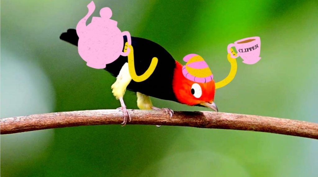 Beverage brand Clipper Teas “reconnects customers with nature” in its new campaign.