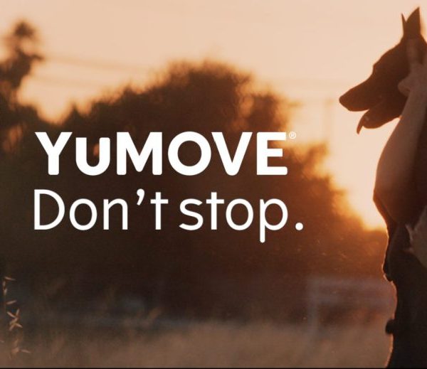 Pet supplement brand YuMOVE has bounded into 2024 with a new advertising campaign that celebrates the joyful moments between dogs and their owners. 