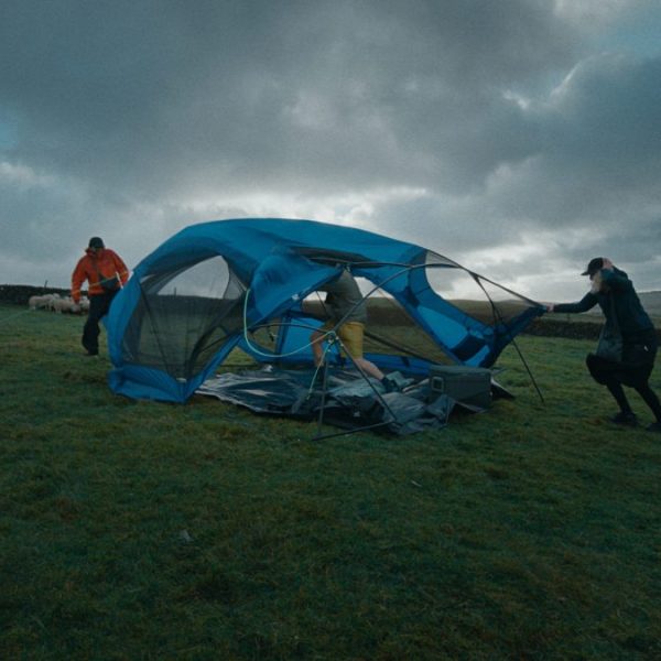 EE has launched a new campaign to celebrate the release of the new Samsung Galaxy S25.