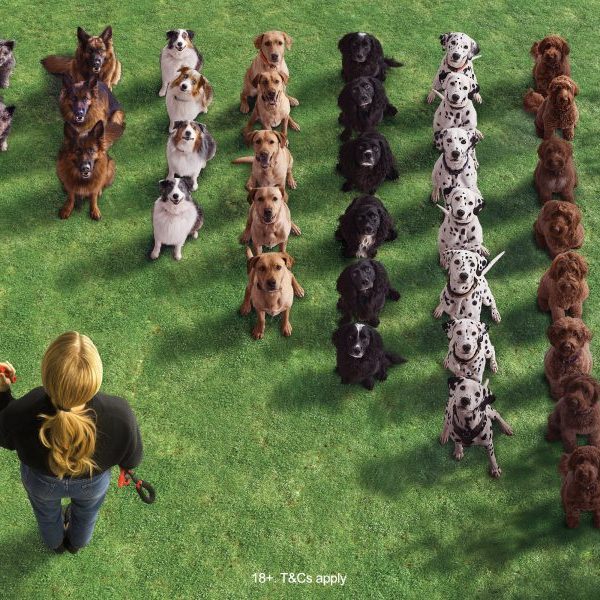 Papaya Solitaire is looking to bring satisfying order to the 'everyday hustle' in a large-scale new out-of-home campaign breaking across the UK.