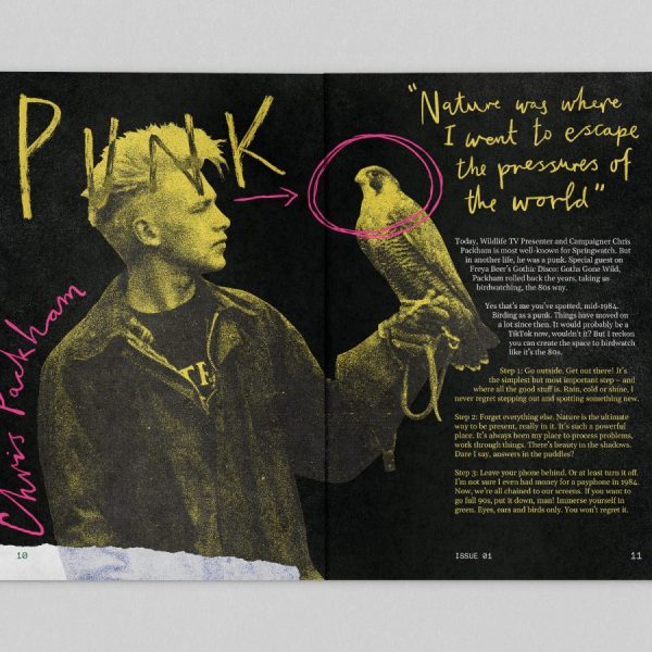 Pop-up creative agency, Agency for Nature, has launched five new campaigns for its second season.