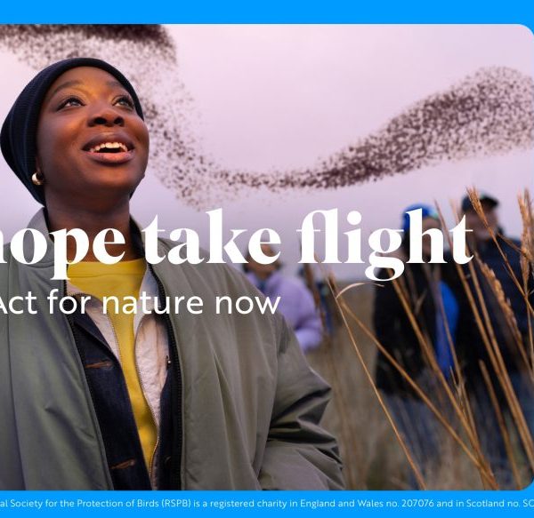 Royal Society for the Protection of Birds (RSPB) is hoping to inspire the public to take action to protect nature in the here and now